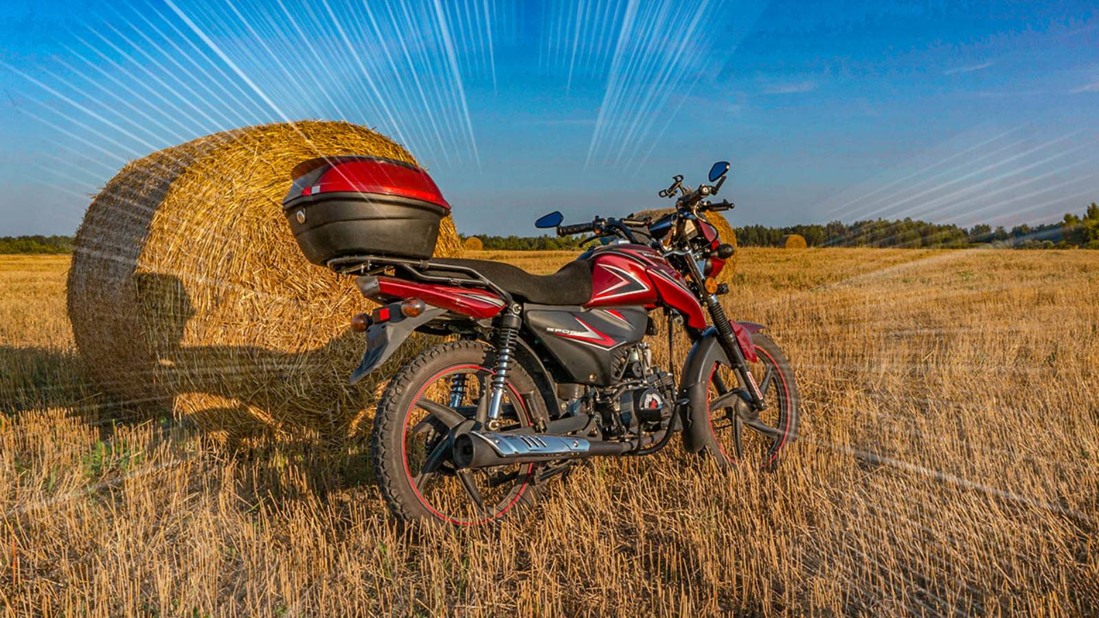 Осень 2024 с мопедом Motoland Alpha RF11 смотреть онлайн