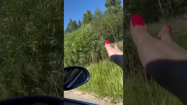 были бы крылья..