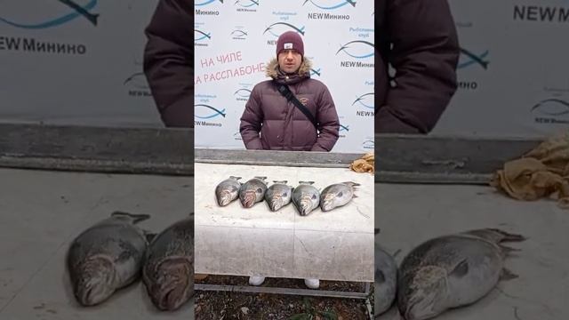 поговорили с гостем смотреть онлайн