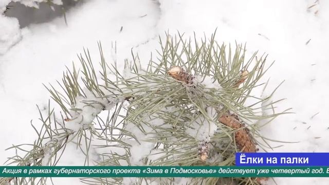 Ёлки на палки смотреть онлайн