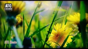 Алёна Росс - Сладкий вкус любви