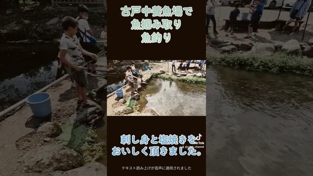古戸中養魚場で塩焼き、刺し身食べてきました。 смотреть онлайн