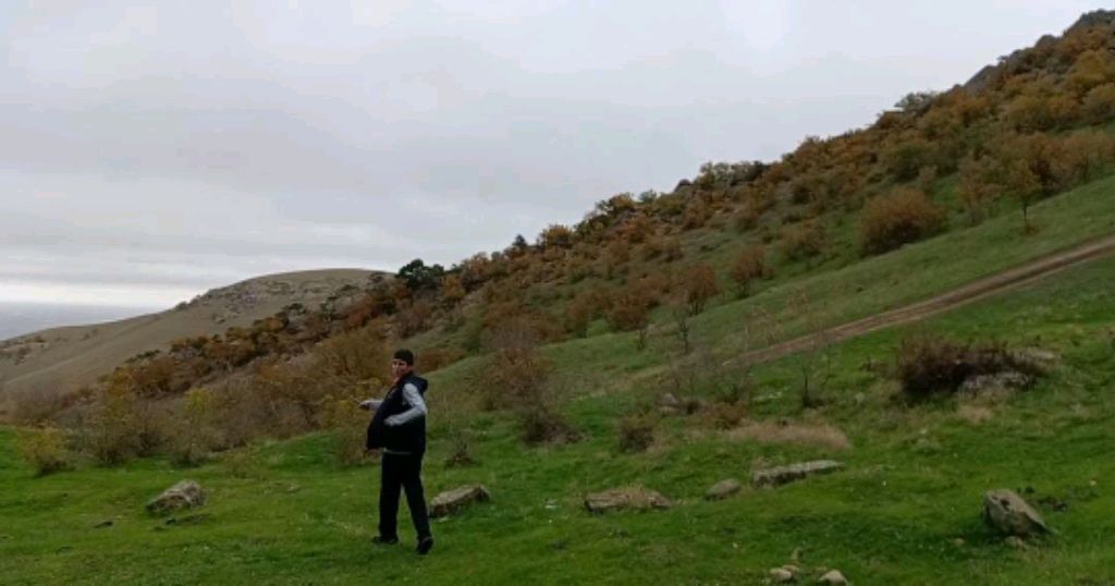 Я в эфире смотреть онлайн