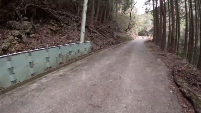 【鉱物採集　神奈川県大釜弁財天でセラドン石を探してみた】こっちちゃんねる смотреть онлайн