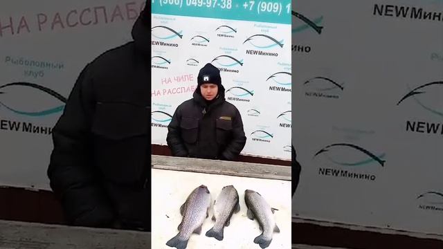 за пол дня смотреть онлайн