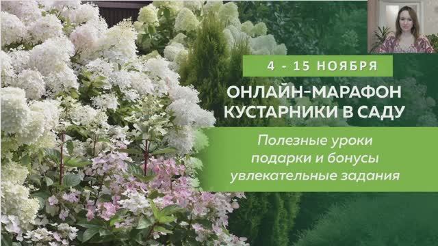 Вводный вебинар марафона Кустарники в саду смотреть онлайн