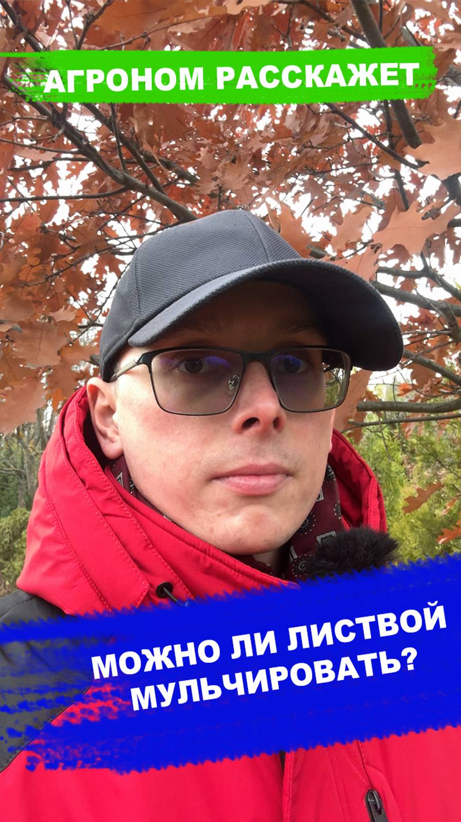 Можно ли мульчировать листвой? смотреть онлайн