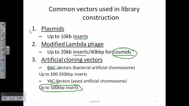 Genomic library смотреть онлайн