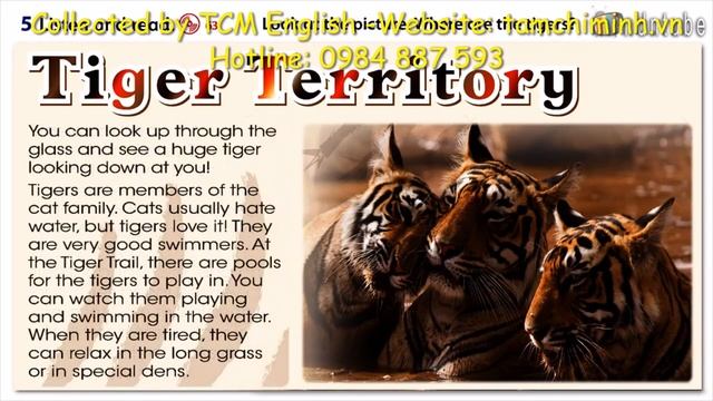 FF3 U6 Extensive Reading 2 Tiger territory смотреть онлайн