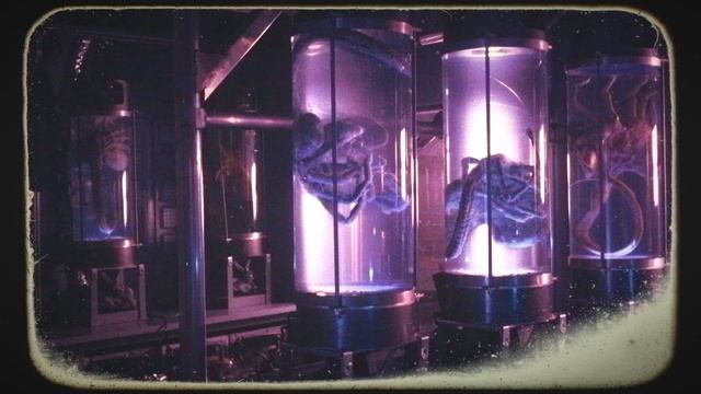 The Facehugger (Manumala Noxhydria) Stage 2 XX121- Alien Species Explained смотреть онлайн