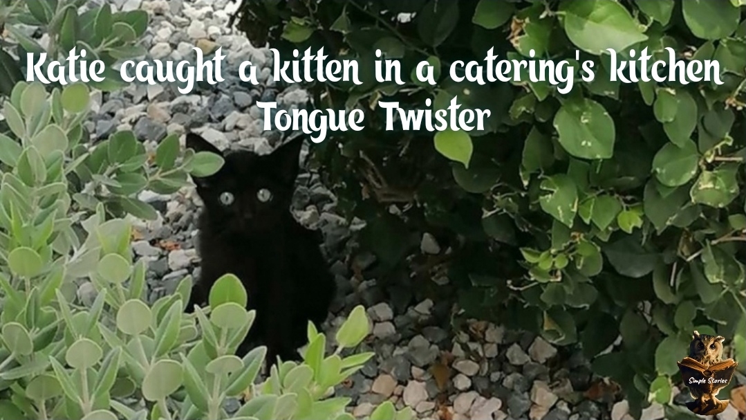 Tongue Twister. Katie Caught A Kitten In A Catering's Kitchen