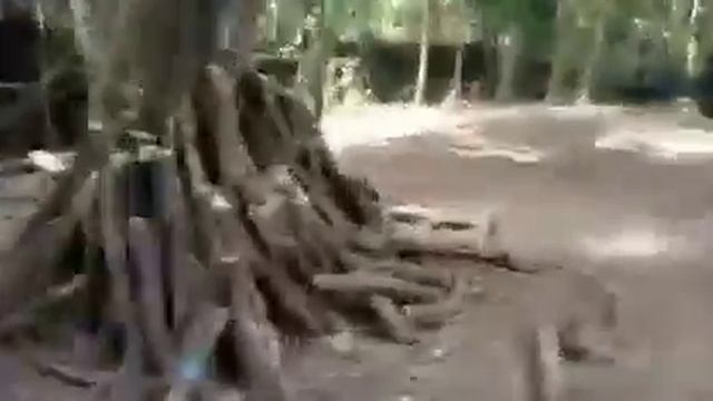 12/03 - Les FARDC viennent de chasser les ADF de leur quartier général смотреть онлайн