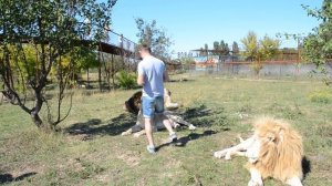 Лейла  пререкается с Олегом Алексеевичем !