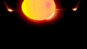 Овоскопирование яиц на 4-ые сутки инкубации