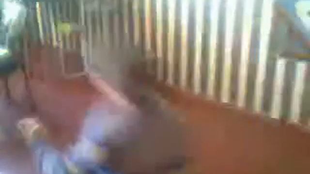 Видео сальто макс в школе (Кульбит) смотреть онлайн