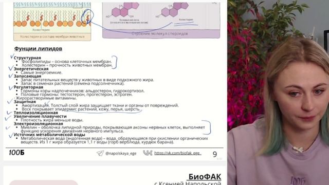 Мессенджер - Opera 2024-11-03 13-01-34 смотреть онлайн