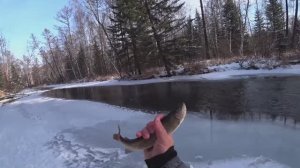 Рыбалка на Хариуса по Заберегам и Кромке Льда в Мороз/ Ловля На удочку  по Замёрзшему Льду  на РЕКЕ!