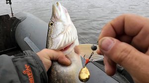 Эта приманка ловит щуку. Самодельный Тейл спиннер удивил.