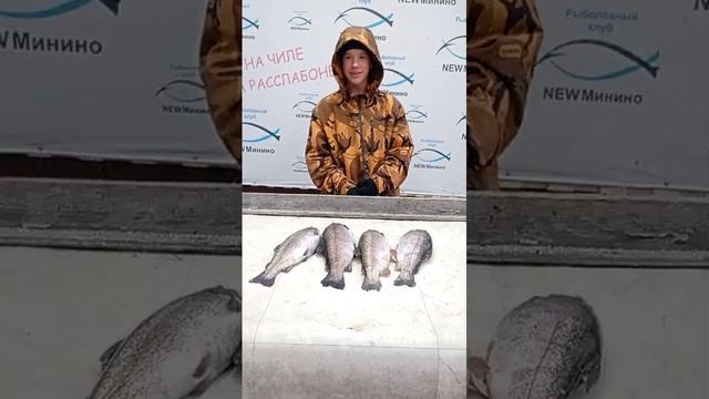 разговор с рыбаком смотреть онлайн