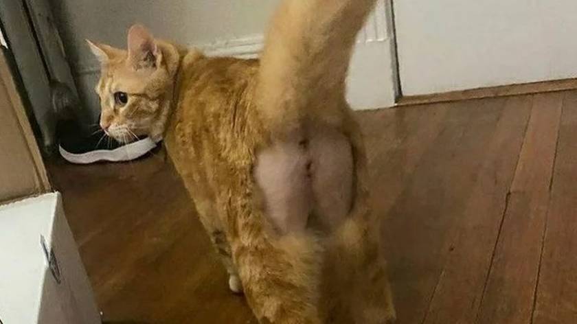 Попа смотреть онлайн