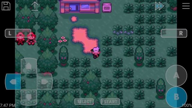 Pokemon Flora Sky (GBA Rom Hack)(Android) Part 2: Struggle a bit, healing a lot.... смотреть онлайн
