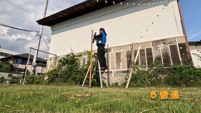 藤棚を単管パイプで作ってみた【こっちちゃんねる】 смотреть онлайн
