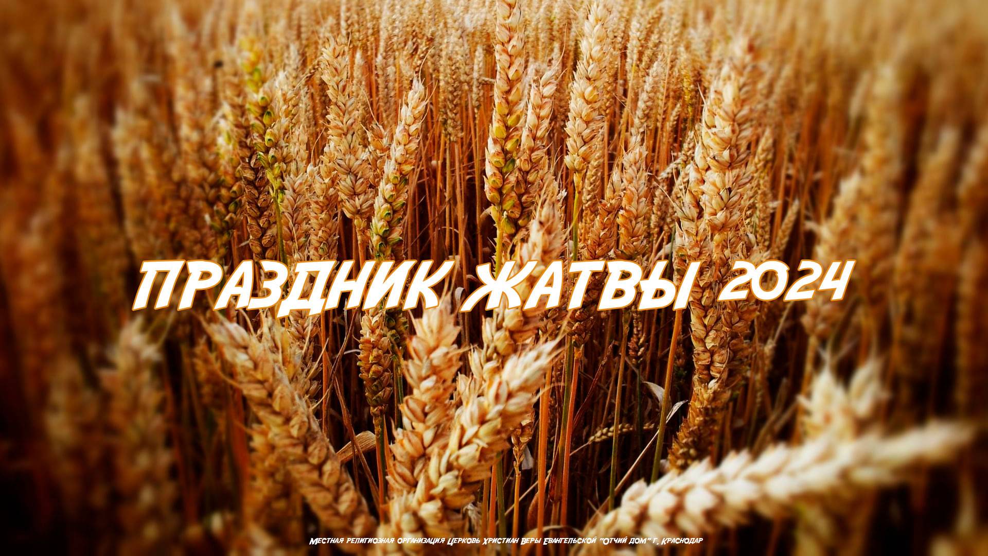 Праздничное Богослужение 3 ноября 2024 смотреть онлайн