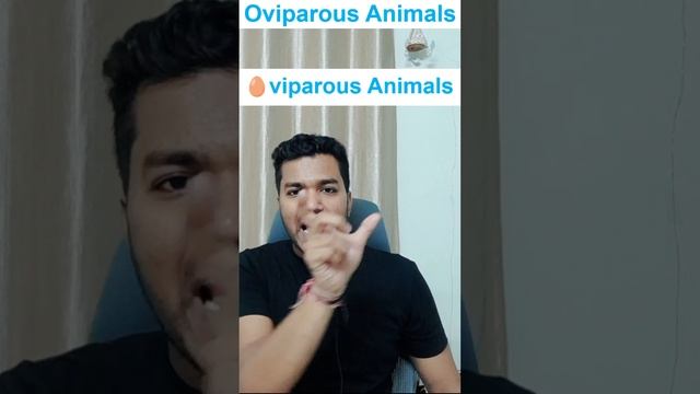 What is an oviparous animal ? | Reproduction in Animals | Class 8 Science | NCERT | CBSE | Chapter смотреть онлайн