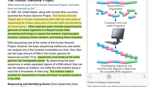14.3 Studying the Human Genome смотреть онлайн