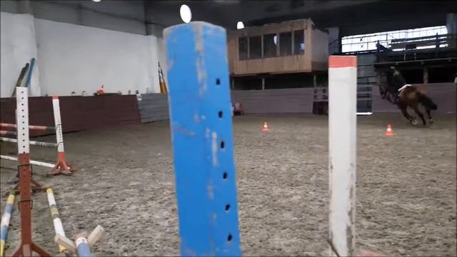 Олеся и Дона тренировка 17.01.2019 в КСК Парадиз смотреть онлайн