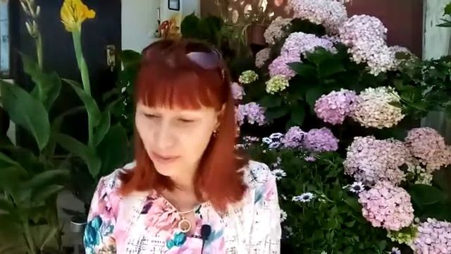 ЧУВСТВО ВИНЫ,,,, ❤ 👍 ОБЯЗАТЕЛЬНО НУЖНО ОТПУСТИТЬ,,, ❤ 👍 смотреть онлайн