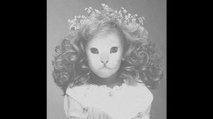 Mr.Kitty - Uncarresed