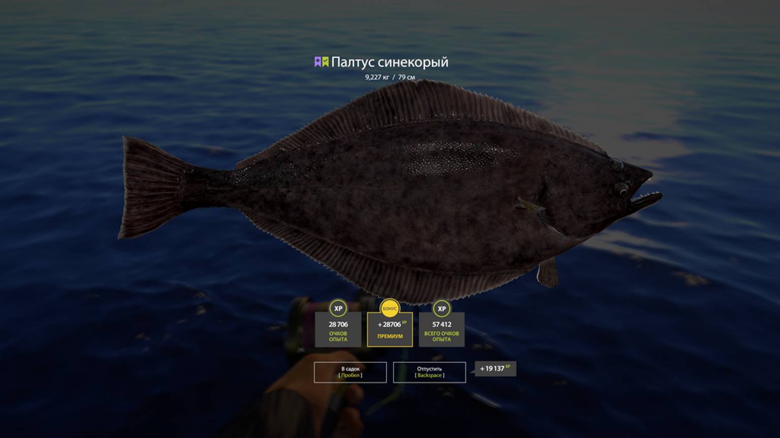 Русская Рыбалка 4 [PC 2018] 🐟 Палтус Синекорый, впервые попался