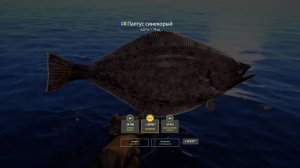 Русская Рыбалка 4 [PC 2018] 🐟 Палтус Синекорый, впервые попался