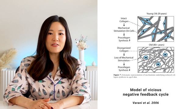 Deep guide to collagen - ways to preserve and boost collagen (and elastin) in your skin смотреть онлайн