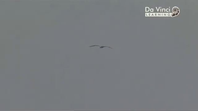 Дикая наука Жара смотреть онлайн
