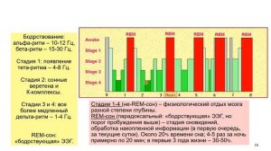 Дубынин В. А. - Мозг: как он устроен и работает - 7. Мозг и сон