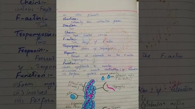 notes of biology first year chapter 1 centriole смотреть онлайн