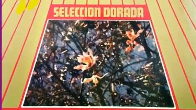 TRANSITO COCOMAROLA LA FLECHA смотреть онлайн