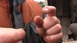 Исузу Форвард засорилась сеточка топливного насоса низкого давления