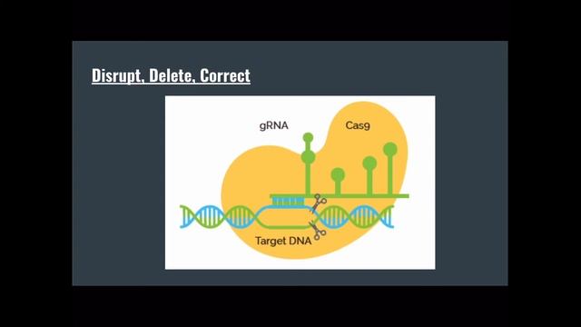 Crispr-Cas9 Project