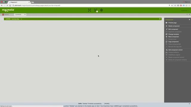 Integrating commercetools with Magnolia CMS смотреть онлайн