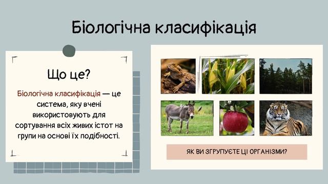 Наукова класифікація організмів. Поняття виду організмів смотреть онлайн