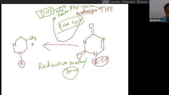 DTMP And CTP Synthesis From UMP,  Pathogenesis Mechanism Of Megaloblastic Anemia USMLE Step 1