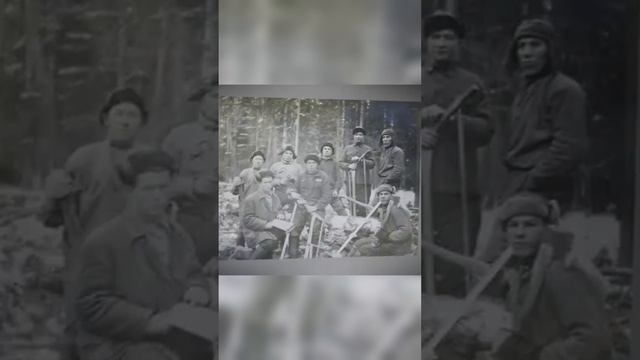 Забирали с улицы Покорять Сибирь "Назинская трагедия" смотреть онлайн