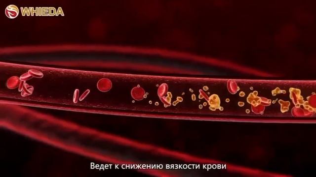 Биоэнергетический массажер 4 поколения смотреть онлайн
