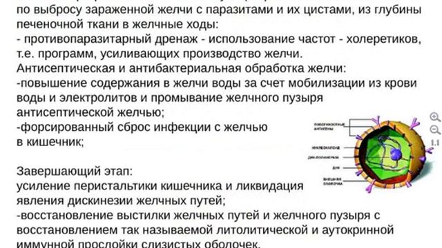 Гепатит. Он ближе, чем мы думаем. смотреть онлайн
