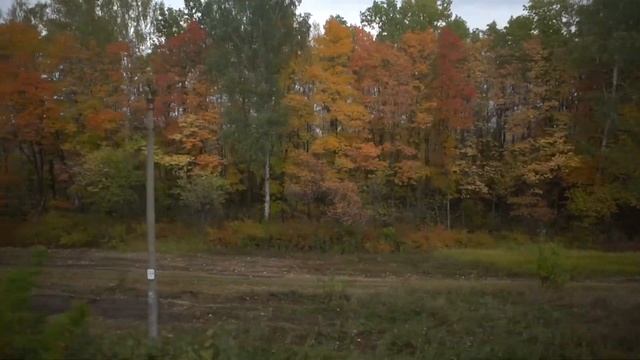 Движение в осень #autumn #train #sound #music #ambient #nature смотреть онлайн