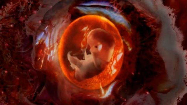 6 Nedelja trudnoce смотреть онлайн