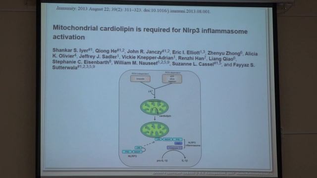 Черняк Б. В. - Структура и функция митохондрий - 10. Митохондрии и врождённый иммунитет смотреть онлайн